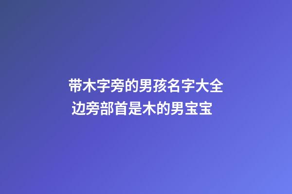 带木字旁的男孩名字大全 边旁部首是木的男宝宝